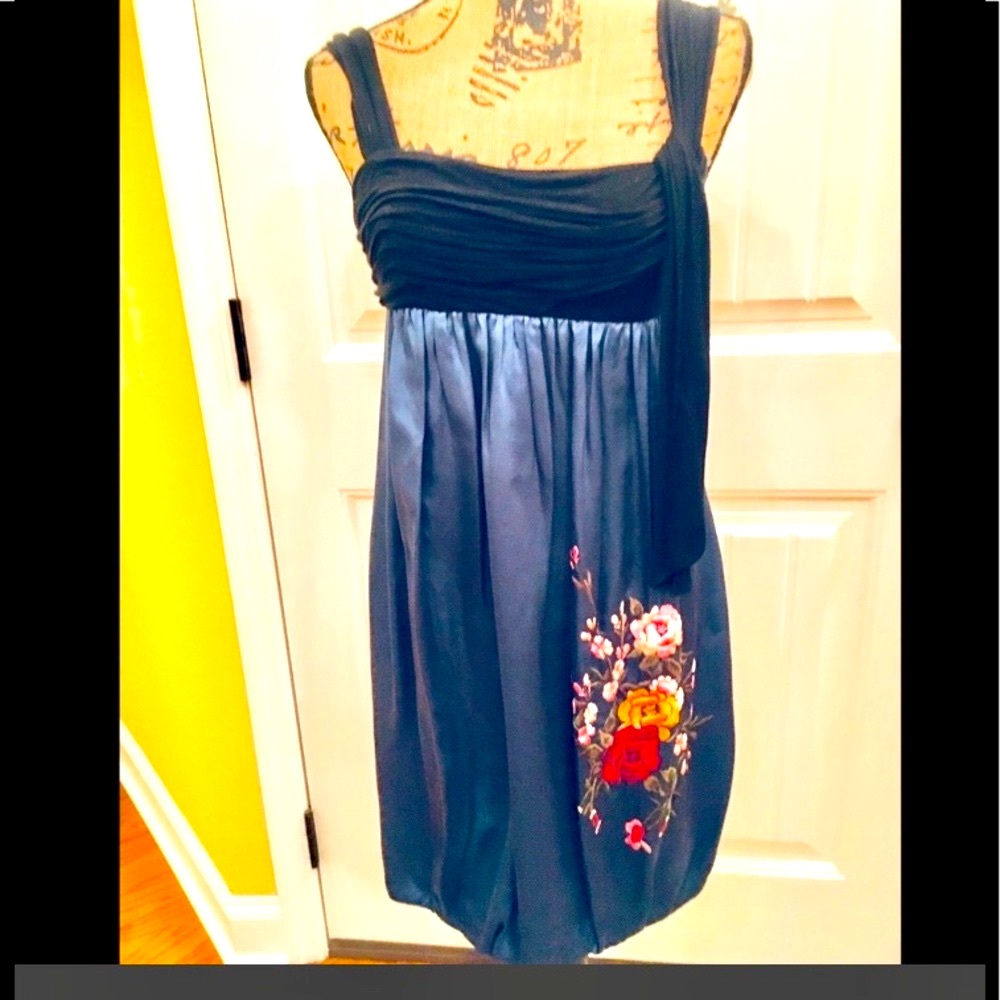 OMG  BCBGMaxAzria Flirty Dress Embroidered Sz 4